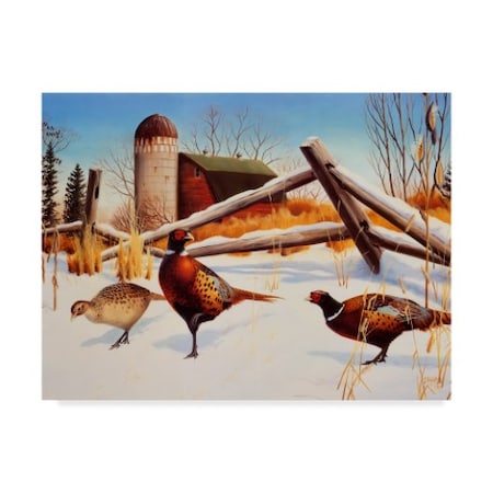 Leo Stans 'Pheasants Ii' Canvas Art,35x47